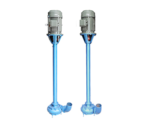 DYWS液下污(wu)水泵