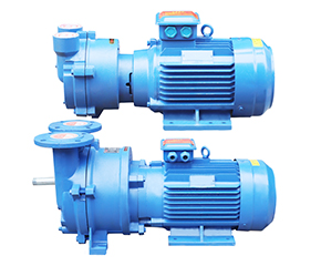 2BV水(shuǐ)環真空泵 直連式(shi)防爆真空泵